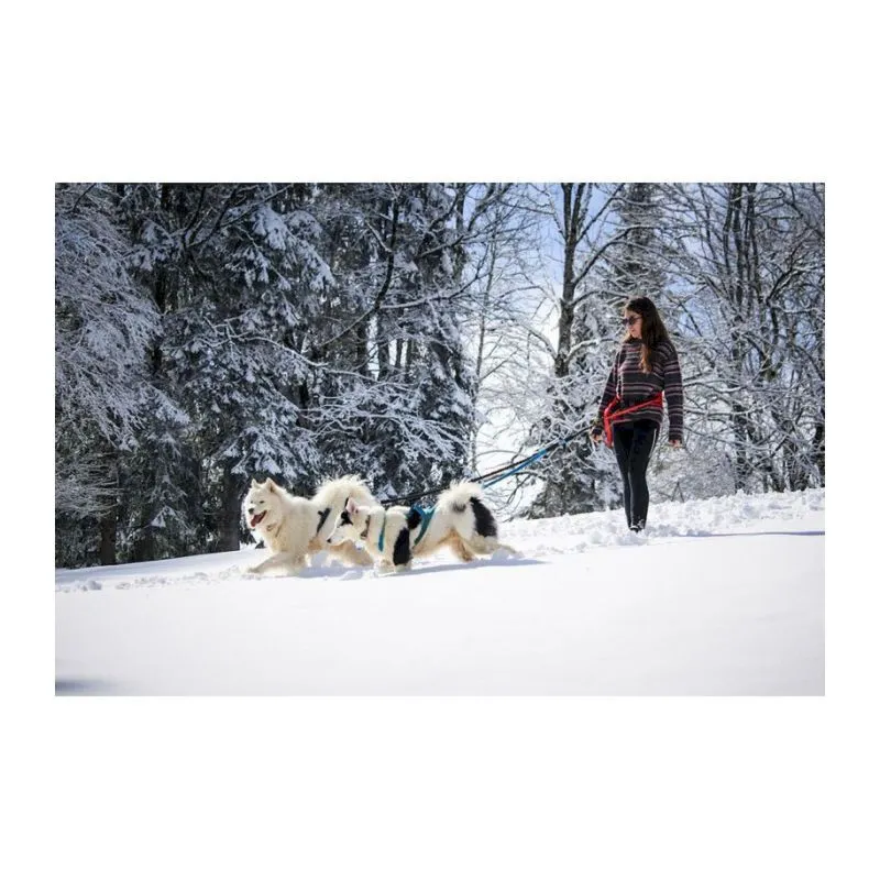 Inlandsis  Twincross + - Guinzagli per cani