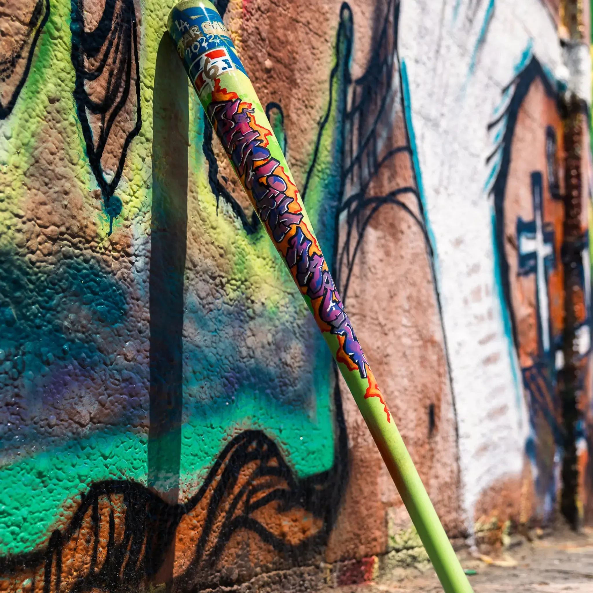 PAINT YOUR OWN BAT